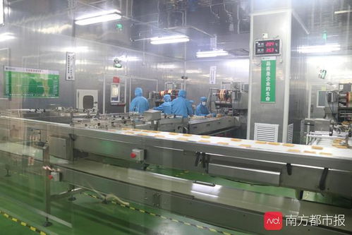 东莞“倍增计划”申报启动 新评价体系引领高质量发展，信息服务业务迎新机遇