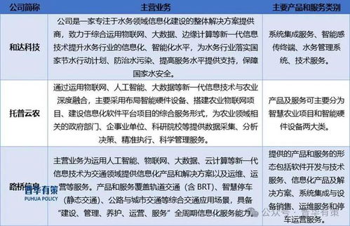 2024-2030年软件和信息服务行业专项调研及投资前景预测分析报告